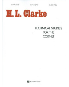 Technical Studies for the...