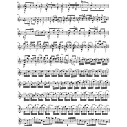 Six Sonates et Partitas BWV 1001-1006 pour Violon solo