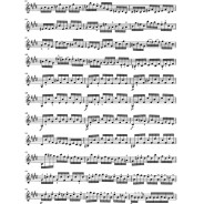 Six Sonates et Partitas BWV 1001-1006 pour Violon solo