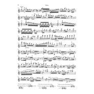 Haydn : Concerto pour violon en Ut majeur Hob. VIIa:1