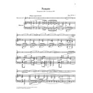 Johannes Brahms : Sonaten Op. 120