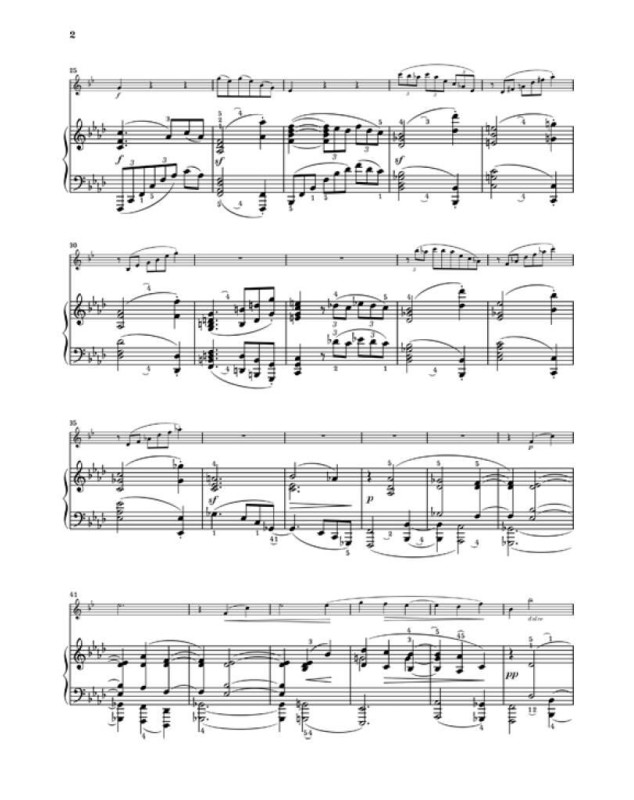 Johannes Brahms : Sonaten Op. 120