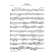 Johannes Brahms : Sonaten Op. 120
