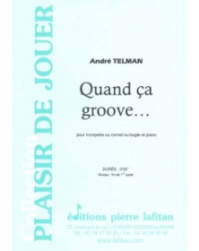 André Telman : Quand ça Groove...