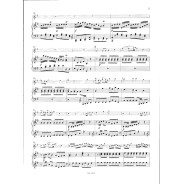 Quantz : Concerto pour Flûte en Sol majeur QV 5:174