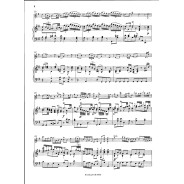 Franz Joseph Haydn : Concerto pour Violon en Sol Majeur Hob. 7a : 4