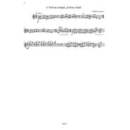 Sylvie Hue : 18 Etudes ethniques