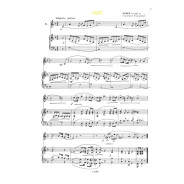 Alain Truchot et Michel Meriot : Le Guide de formation musicale Volume 6 - élémentaire 2