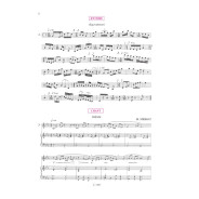 Truchot / Mériot : Le Guide de formation musicale Vol.9 - supérieur