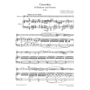 Carl Maria von Weber : Concertino für Klarinette und Orchester Es-Dur