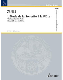 Marc Zuili : L'étude de la Sonorité à la Flute