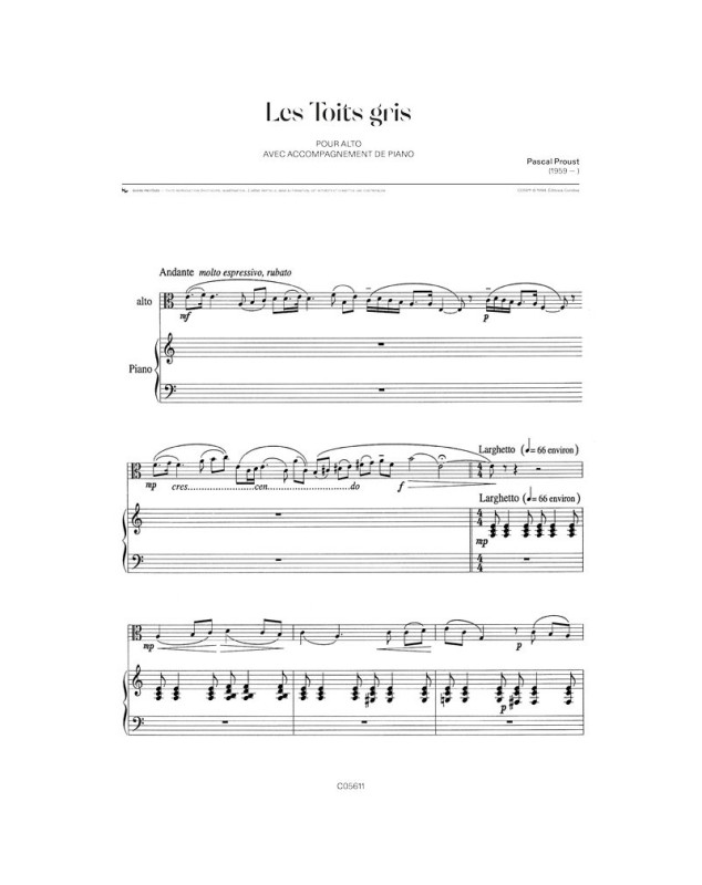 Pascal Proust : Les Toits gris