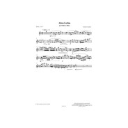 Alma Latina - Flûte et Piano - Jérôme Naulais - Robert Martin