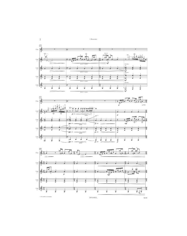 Air ascendant Terre - Flûte et Ensemble de Guitares - Roland Dyens