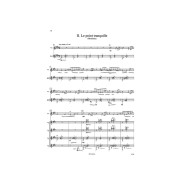 Air ascendant Terre - Flûte et Ensemble de Guitares - Roland Dyens