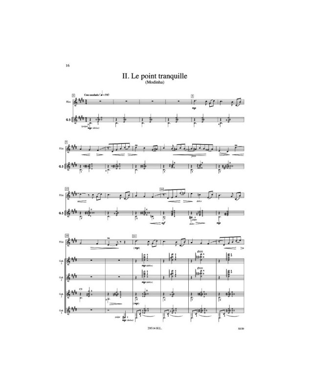 Air ascendant Terre - Flûte et Ensemble de Guitares - Roland Dyens