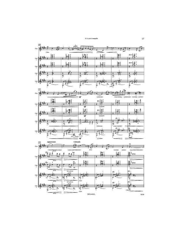 Air ascendant Terre - Flûte et Ensemble de Guitares - Roland Dyens