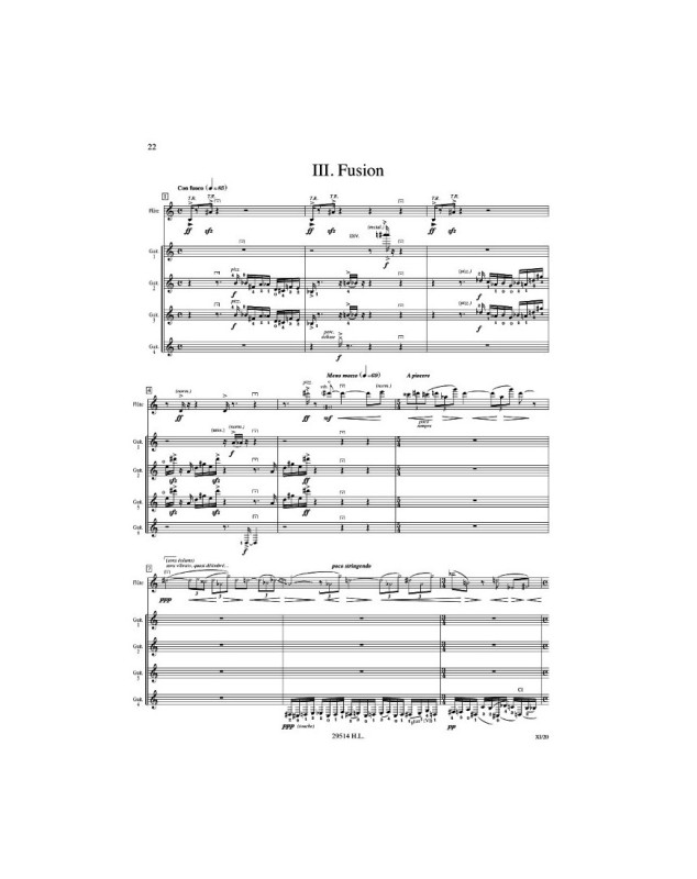 Air ascendant Terre - Flûte et Ensemble de Guitares - Roland Dyens