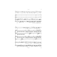 Air ascendant Terre - Flûte et Ensemble de Guitares - Roland Dyens