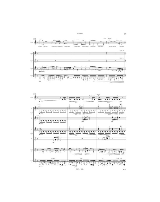 Air ascendant Terre - Flûte et Ensemble de Guitares - Roland Dyens