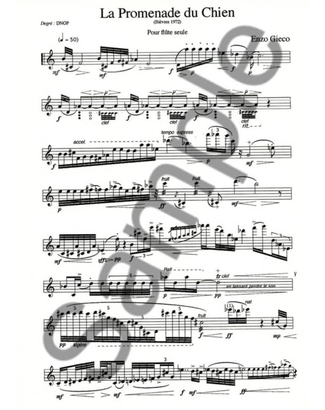 La Promenade Du Chien - Flute Seule - Enzo Gieco