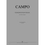 Concerto pour violon