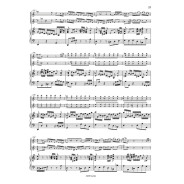 JS Bach : Concerto pour 2 Violons, cordes et BC BWV 1043 - Dowani