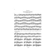 Ecole des positions : 5ème position - Violon - Van de Velde