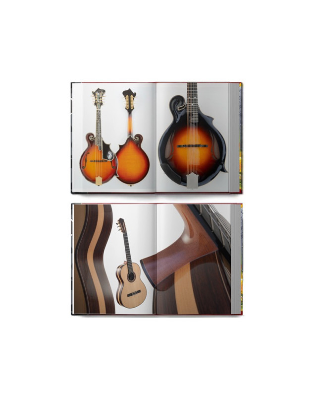 Luthiers et Guitares d'en France : La Nouvelle Génération