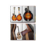 Luthiers et Guitares d'en France : La Nouvelle Génération