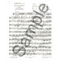 1er solo du Concerto n° 19 - Violon et Piano - Viotti