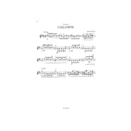 Muguet et L'Allusive - Guitare - Roland Dyens