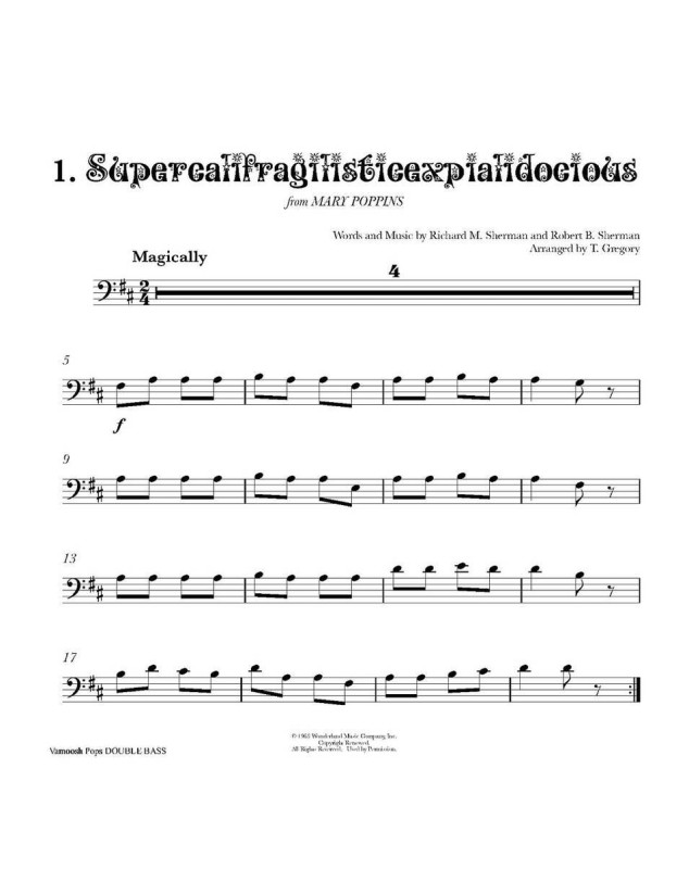 Vamoosh Pops : Contrebasse
