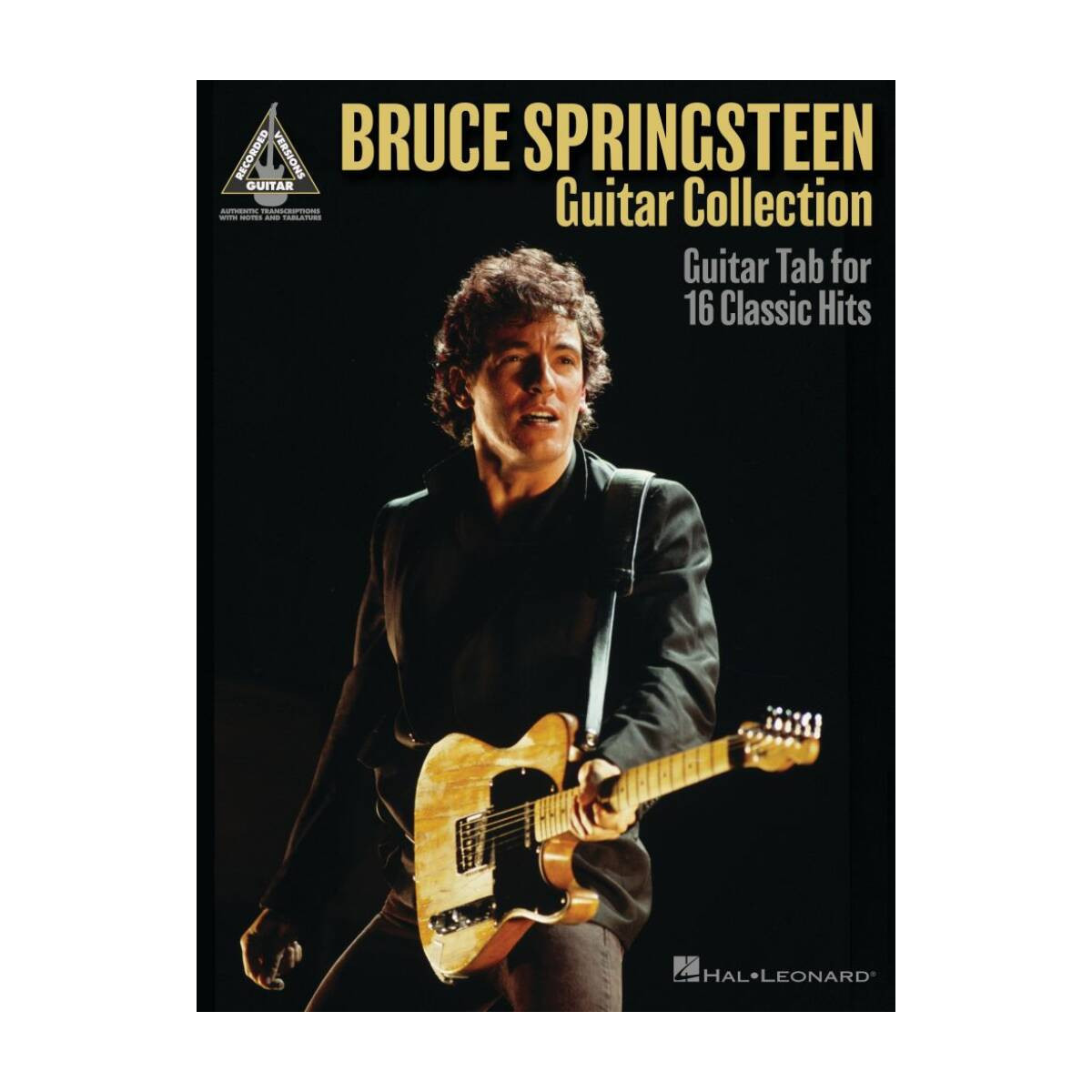 Bruce Springsteen Guitar Collection - Guitar Recorded Version