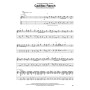 Bruce Springsteen Guitar Collection - Guitar Recorded Version