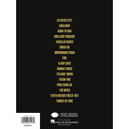 Bruce Springsteen Guitar Collection - Guitar Recorded Version