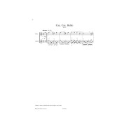 Chansons et Danses d'Amérique Latine Vol. A - Flute et Guitare