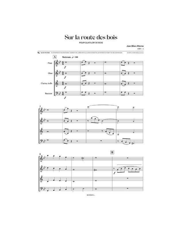 Jean-Marc Allerme : Sur la route des bois