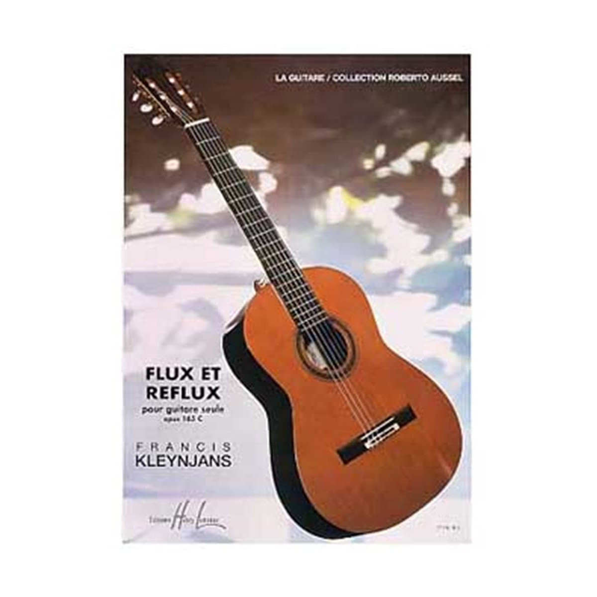 Francis Kleynjans : Flux et Reflux