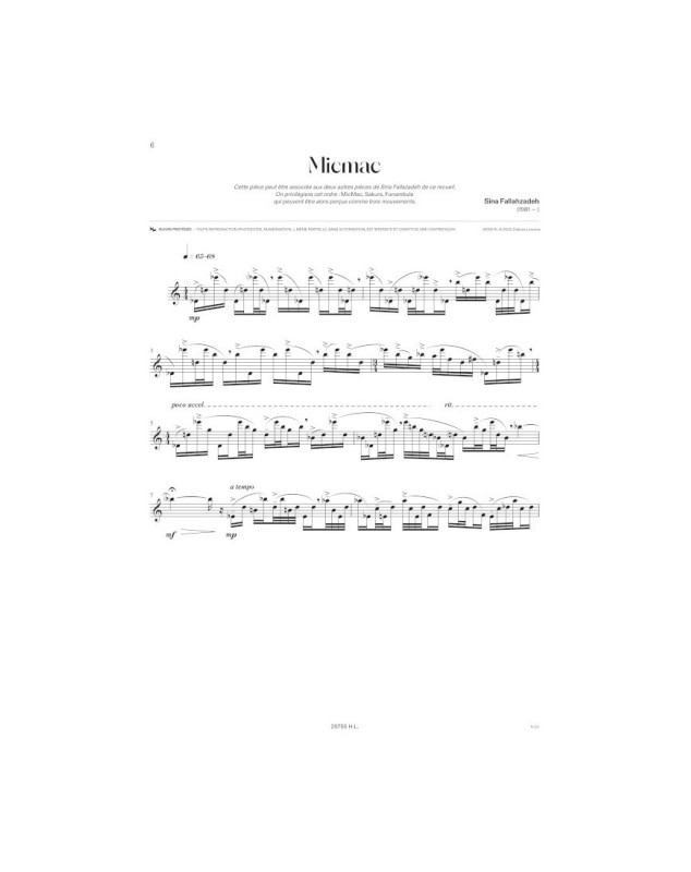 Flûte du merle, sifflements des crapauds... Vol.2