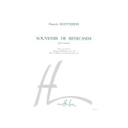 Francis Kleynjans : Souvenir de Benicasim