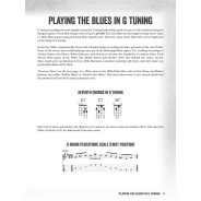 Fred Sokolow : Blues Banjo