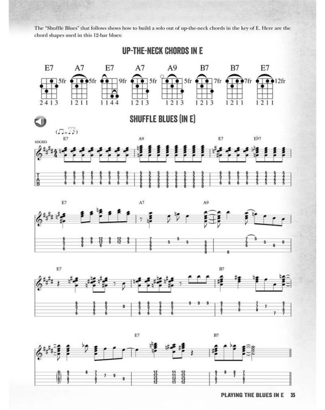 Fred Sokolow : Blues Banjo