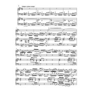 JS Bach : Concerto Pour Clavier En Ré Majeur BWV 1054