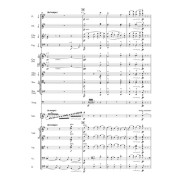 Edward Elgar : Concerto en mi mineur Op. 85 (Conducteur)
