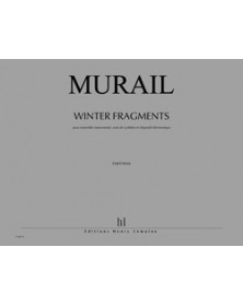 Winter Fragments