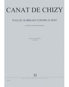 Vagues Se Brisant Contre Le...