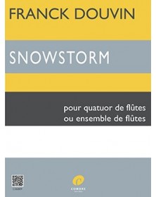 Snowstorm