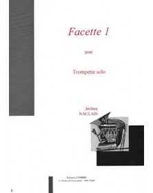 Facette 1