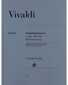 Concerto for Flautino